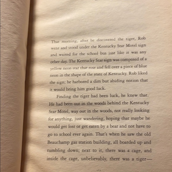 🔴The tiger rising book🔴 - Picture 5 of 5